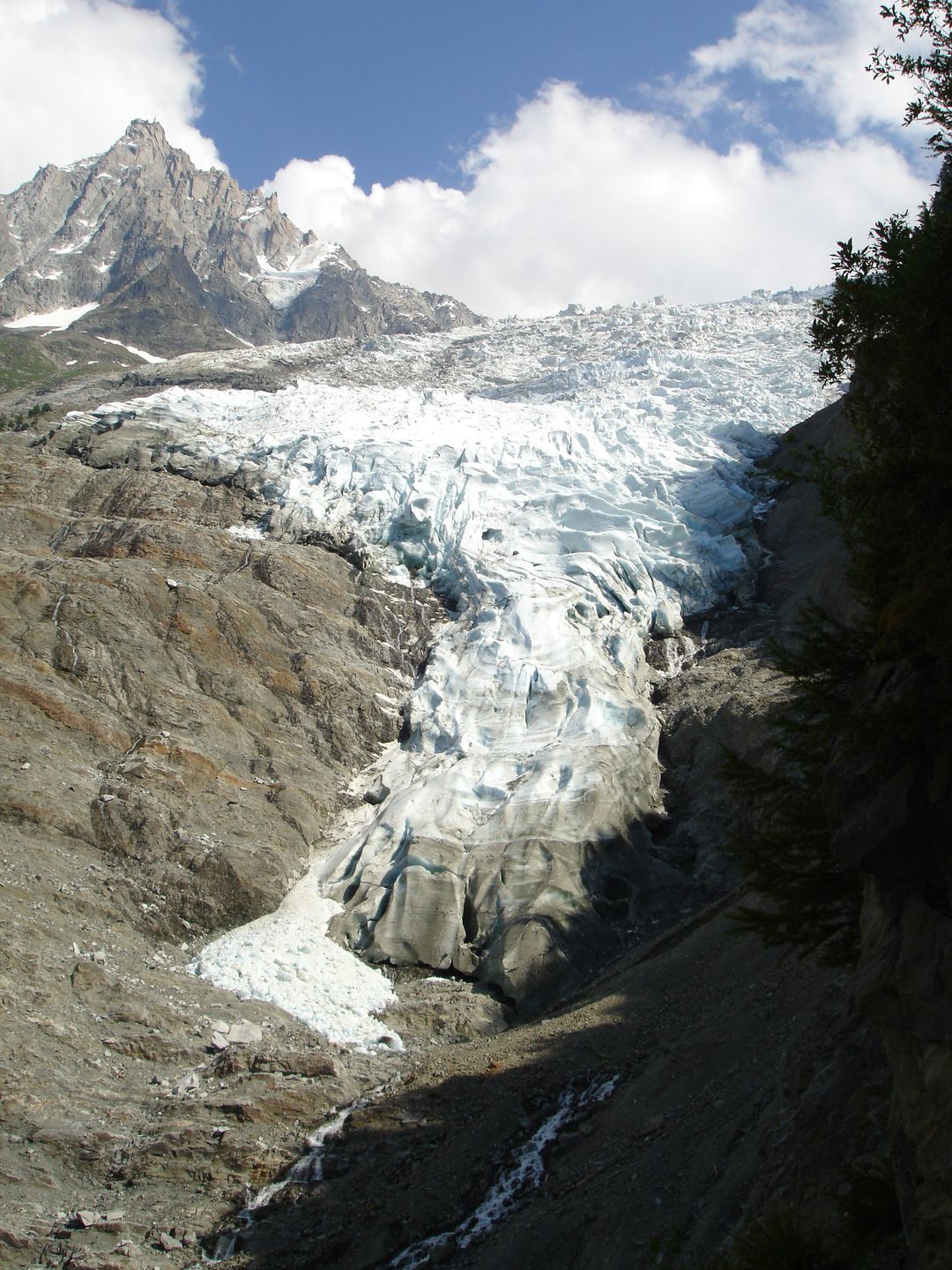 Glacier des Bossons 2010